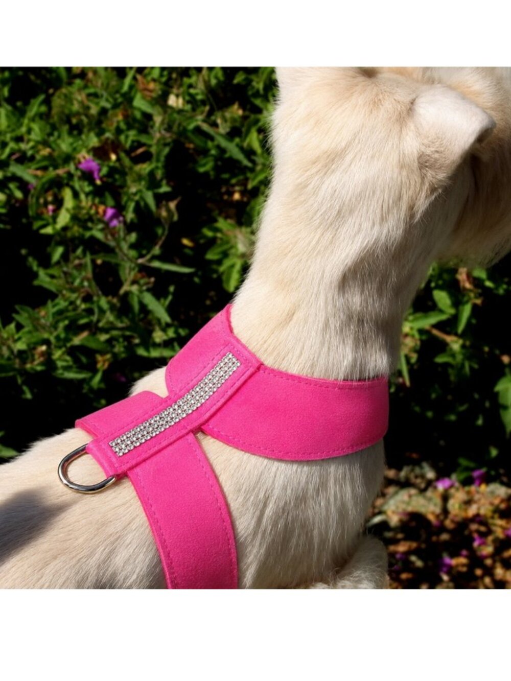Size S Pink Swarovski 3 Row Crystal Ultrasuede Harness Pink Sapphire
